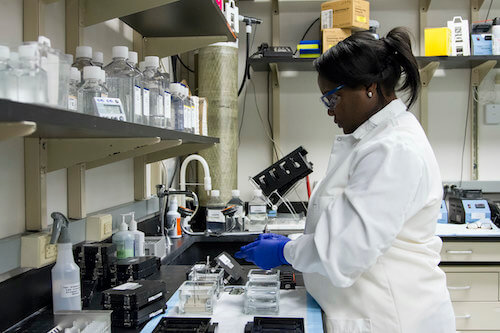 A scientist researching black seed oil.